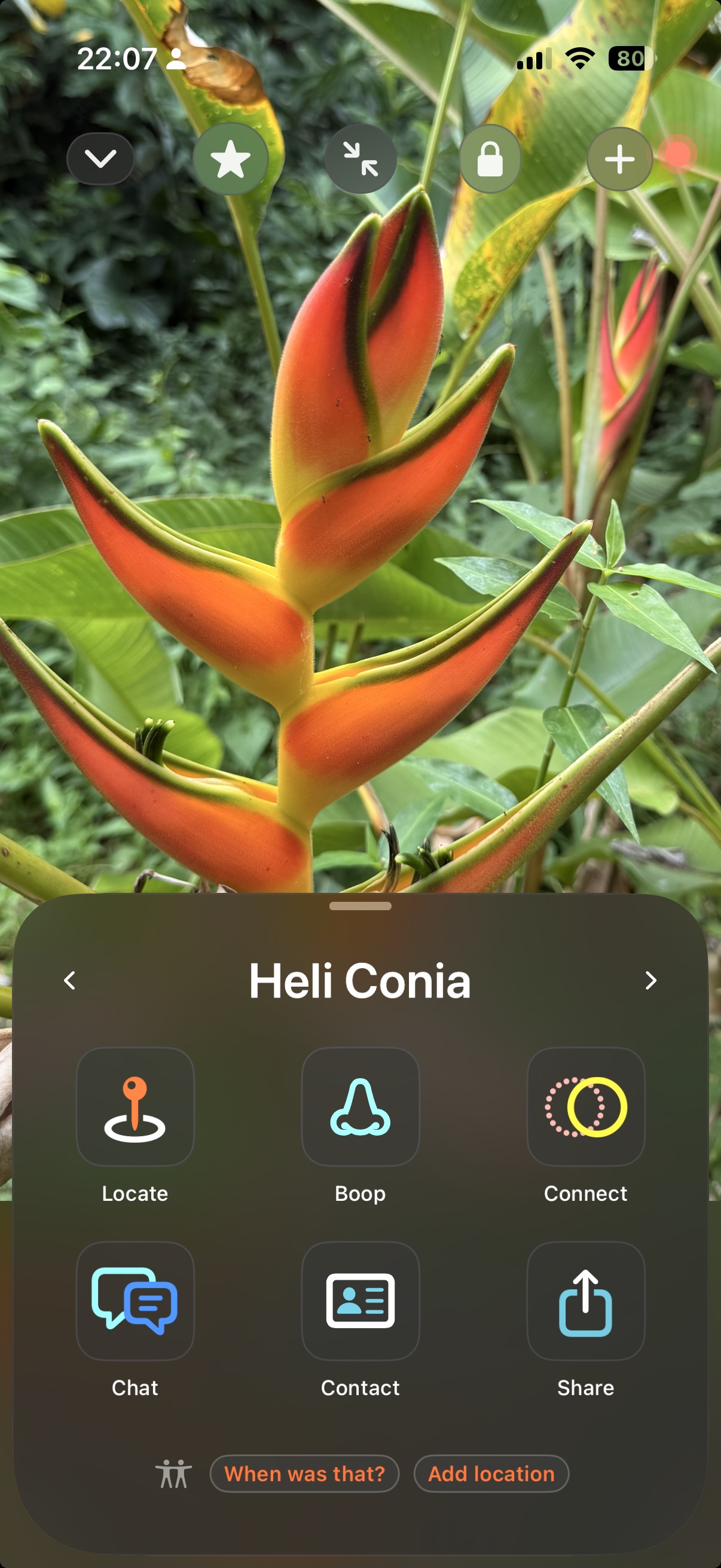 ContactIsland — your people at a glance